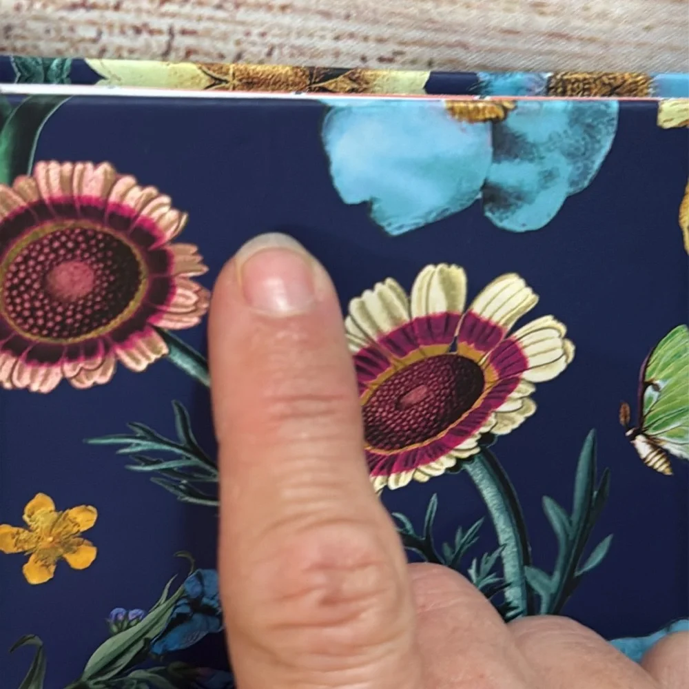 2024-2025 17 month Academic Planner. Maeve by Anthropologie Blue floral
